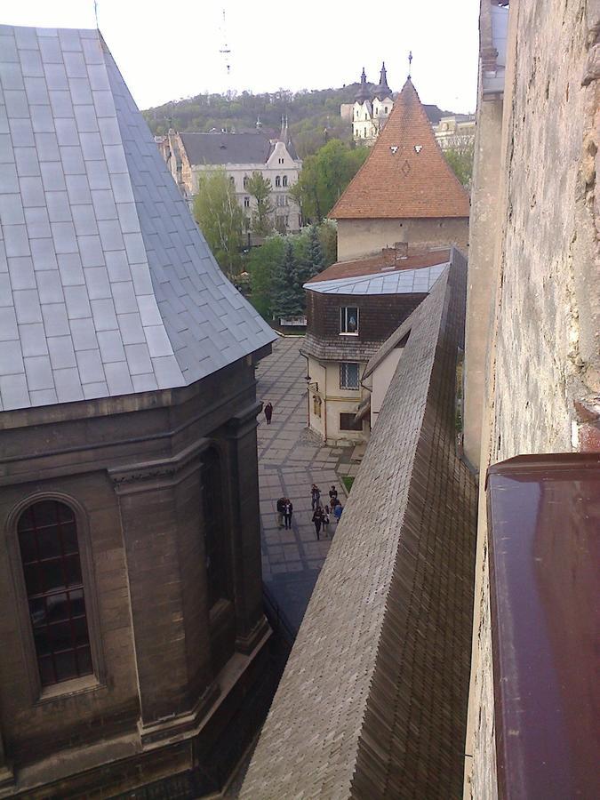 Lviv Amazing Rooftop Apartment Exteriör bild